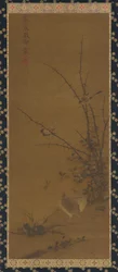 Vagtler, andre fugle og bramfugle, 1700-tallet