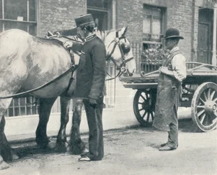 RSPCA-inspektør undersøger en hest, c1903 1903