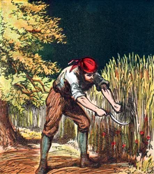 Reaper begynder at skære afgrøde af hvede med en segl, 1867