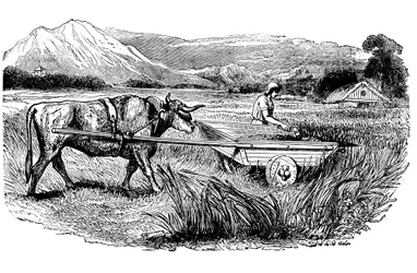 Rekonstruktion af romersk høstvogn, som beskrevet af Plinius, gravering, 1860