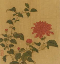 Rød pæon, Qing-dynastiet, 1700-tallet.