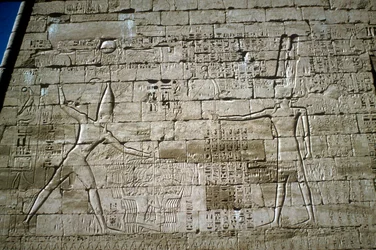 Relief af Ramses III, der slår fjender, Ramses III