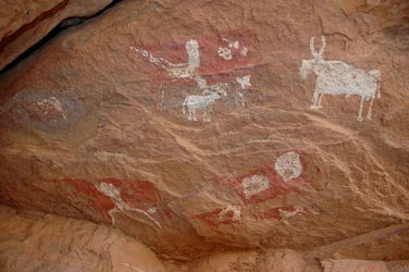 Klippekunst, forhistorie: Klippemaleri af en gruppe kvæg og får i et udsmykket husly i Uweinat-massivet, Sudan (Karkur-Talh eller Karkur Talh). Periode fra 8000 til 3000 år f.Kr. Fotografering