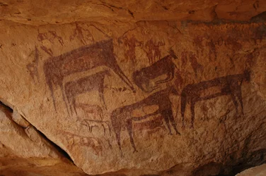 Klippekunst, forhistorie: Klippemaleri af en gruppe kvæg inklusive et knæ og en gruppe figurer inklusive bueskytter i et udsmykket husly, i Uweinat-massivet, Sudan (Karkur-Talh eller Karkur Talh). Periode fra 8000 til 3000 år f.Kr. Fotografering