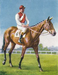 Royal Danieli, jockey: D. Moore, 1939