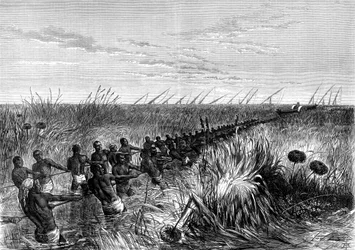 Samuel Bakers båd trukket gennem flodgræs, 1864 1874