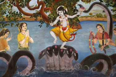 Sandipani Muni Skole for trængende piger drevet af Food for Life Vrindavan. Gud Krishnas liv. Indien
