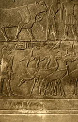 Saqqara - Tomb of Ti Mural Paintings, c1918-c1939.
