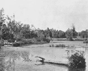 Scene i Mississippi, USA, c1900.