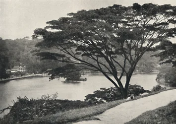 Sø, Temple of the Sacred Tooth Reed og bibliotek i Kandy, set øst fra Victoria Drive, 192