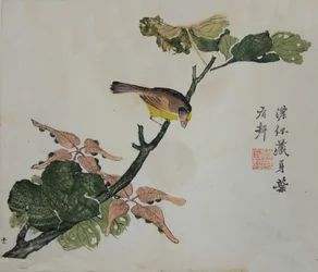 Seeds and Aleurites Cordata : Side fra The Mustard Seed Garden Manual of..., 1782, 2. udgave.