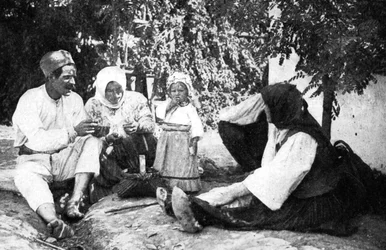 Serbisk familie fortæller historien om at dirigere østrigerne fra Bosnien, Første Verdenskrig, 1914