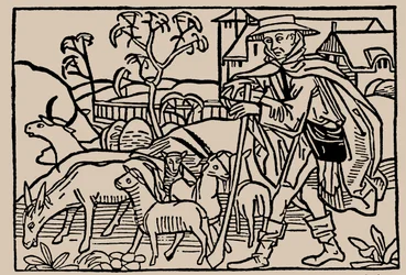 Fårehyrde. Fra menneskelivets spejl af Rodericus Zamorensis, 1479
