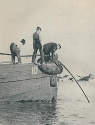 Shore End af et undersøisk kabel er generelt lagt fra en lighter, 1937