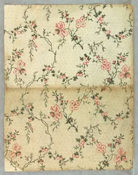 Sidevæg (USA), 1850–1900