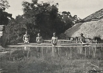 Singalesiske kanelarbejdere på arbejde, 1926