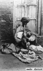 Slangetæmmer, Indien, 20. århundrede
