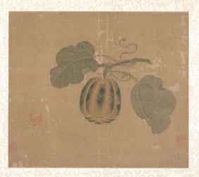 Squash.