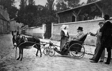 Sully Prudhomme, fransk digter, 1905