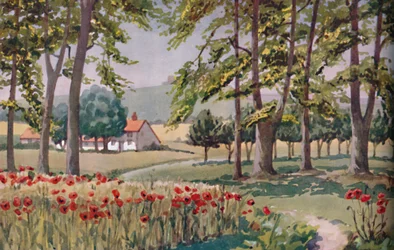 Sommer - De fysiske, kemiske og biologiske forandringer forårsaget af solen i løbet af året, 1935