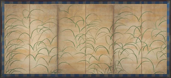 Japansk pampas græs, ca. 1525.