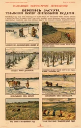 Tag forholdsregler mod tørke., ca 1920-1921.