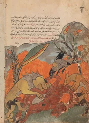 Angrebet på kamelen af løven, kragen, ulven og sjakalen, Folio fra en Kalila..., 1700-tallet.