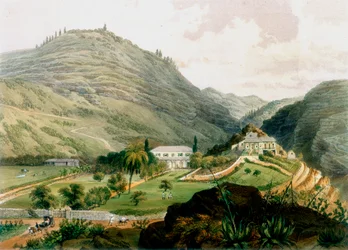 The Briars, St. Helena, begyndelsen af det 19. århundrede 1851