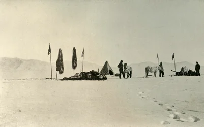Lejren efter at have passeret den forrige breddegrad længst mod syd, november 1908, 1909