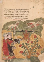 Skildpaddens flugt, Folio fra en Kalila wa Dimna, 1700-tallet.