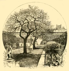 Palais Royals haver, Paris, 1890.
