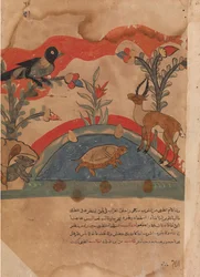 Gazellen bliver venner med kragen, musen og skildpadden..., 1700-tallet.