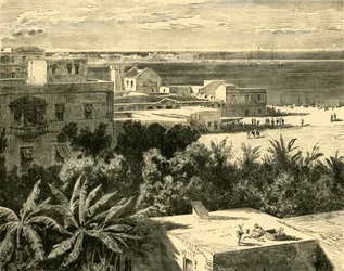 Den Store Havn i Alexandria, 1890.