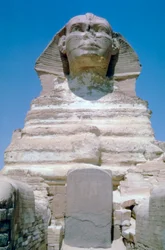 Den store sfinks i Giza, Giza-plateauet, Egypten