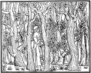 Elskeren i skoven, 1499 1964