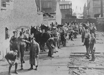 Den nye hær under træning på Hovslagerskolen, 1915