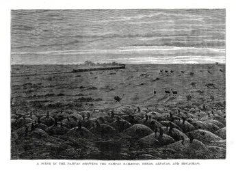 Pampas-jernbanen, Sydamerikansk lavland, 1877