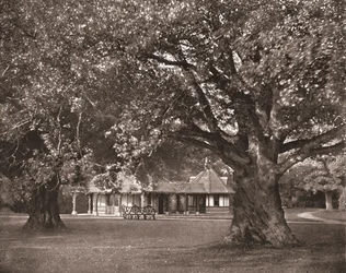 The Queens Tea-Room, Frogmore, Berkshire, 1894.