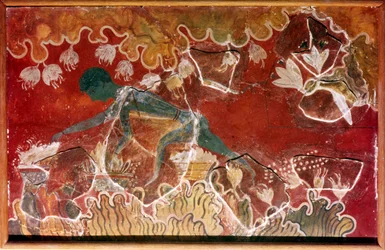The Saffron-Gatherer Fresco fra Minoan Royal Palace, Knossos, Kreta. c15. århundrede f.Kr