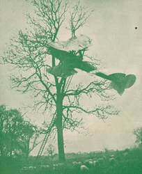 Risikoen ved natflyvning, c1918 1919