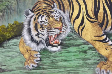 Tigermaleri ved Bongeunsa-templet, Seoul, Coree du Sud