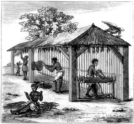 Tobaksforberedelse, 1873