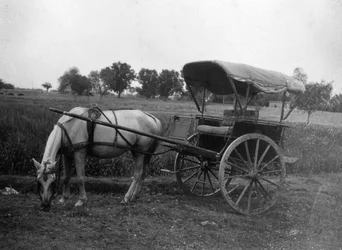 Tonga hestevogn, Muttra, Indien, 1917