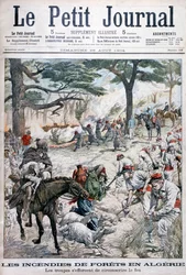 Tropper forsøger at begrænse en skovbrand, Algeriet, 1904