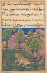 Tuti-Nama Tales of a Parrot: Tale XXVIII: The Monkey Advises the Suspicious Lion..., ca. 1560.