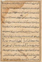 Tuti-Nama fortællinger om en papegøje, ca. 1560.