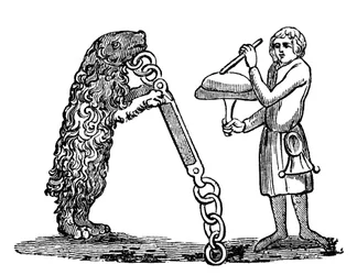 Undervist bjørn, 14. århundrede, 1833