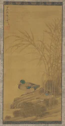 To ænder blandt siv ved vandkanten, Ming- eller Qing-dynastiet, 15.-18. århundrede.