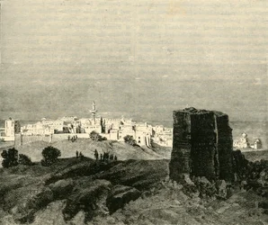 Dæk, 1890.