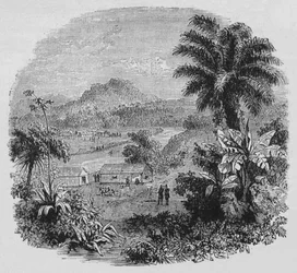 Udsigt i Cayenne, c1880